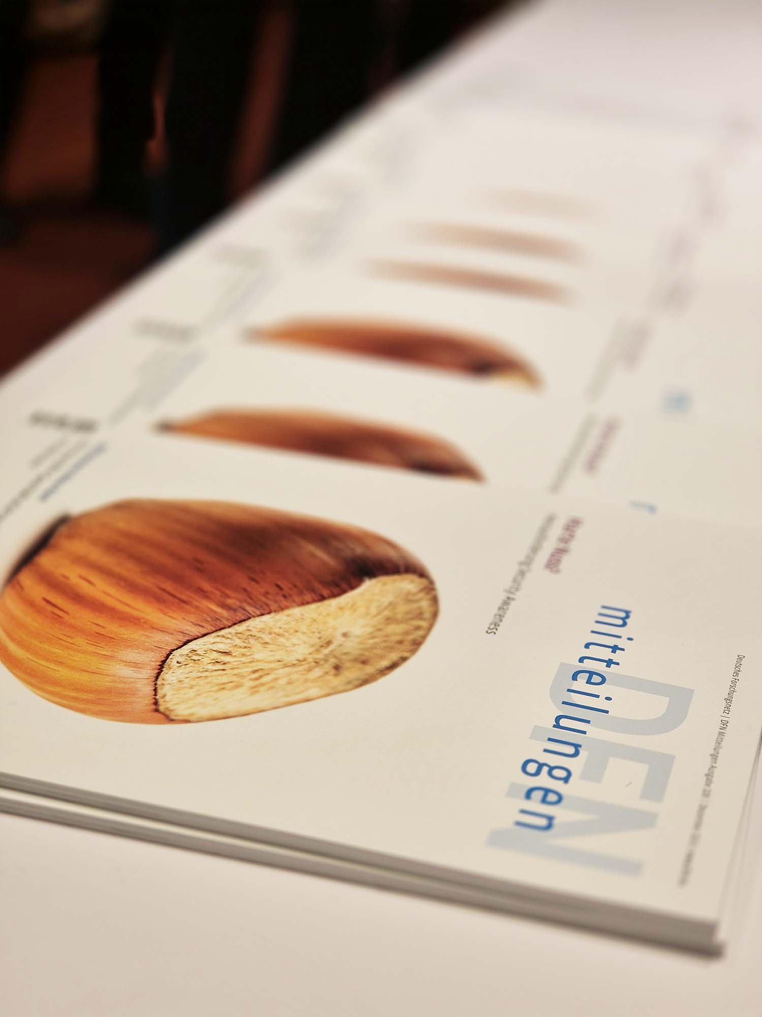 Auf einem Tisch ausgelegte Ausgaben 108 der DFN-Mitteilungen. Auf dem Titelbild ist eine Haselnuss zu sehen | Foto: DFN-Verein