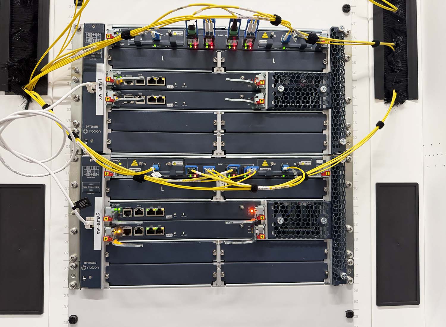 Das Foto zeigt Netzwerktechnik. Foto: Stefan Piger, DFN